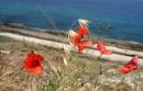 Cyprus 24